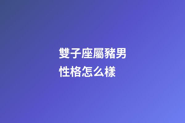 雙子座屬豬男性格怎么樣-第1張-星座運勢-玄機派