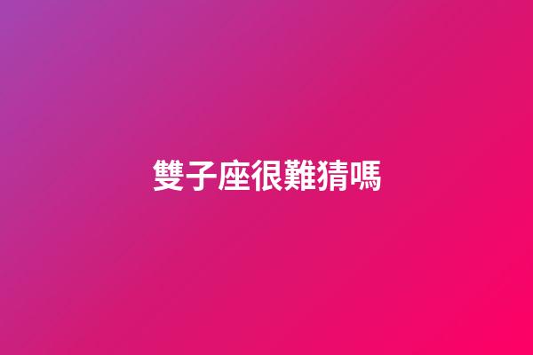 雙子座很難猜嗎-第1張-星座運勢-玄機派