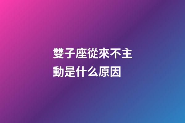 雙子座從來不主動是什么原因-第1張-星座運勢-玄機派