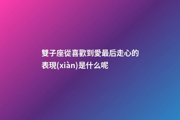 雙子座從喜歡到愛最后走心的表現(xiàn)是什么呢-第1張-星座運勢-玄機派