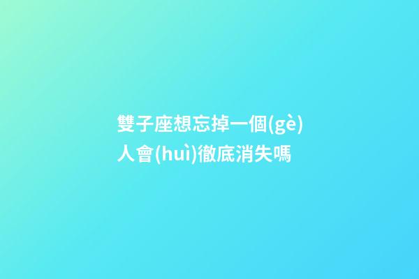 雙子座想忘掉一個(gè)人會(huì)徹底消失嗎-第1張-星座運(yùn)勢(shì)-玄機(jī)派