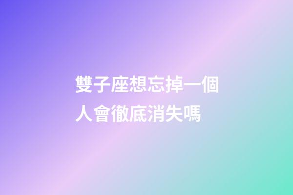 雙子座想忘掉一個人會徹底消失嗎-第1張-星座運勢-玄機派