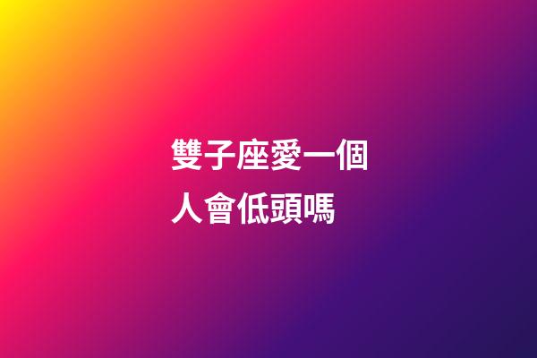 雙子座愛一個人會低頭嗎-第1張-星座運勢-玄機派