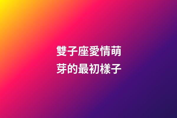 雙子座愛情萌芽的最初樣子