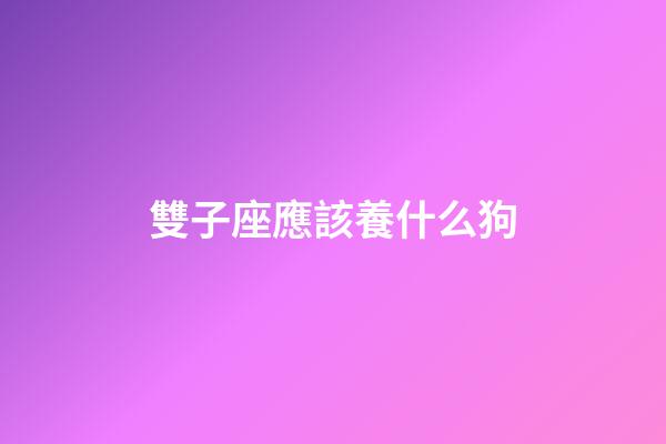 雙子座應該養什么狗-第1張-星座運勢-玄機派