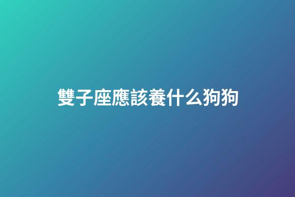 雙子座應該養什么狗狗-第1張-星座運勢-玄機派