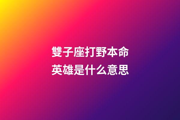 雙子座打野本命英雄是什么意思-第1張-星座運勢-玄機派