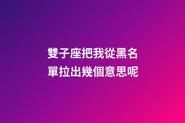雙子座把我從黑名單拉出幾個意思呢