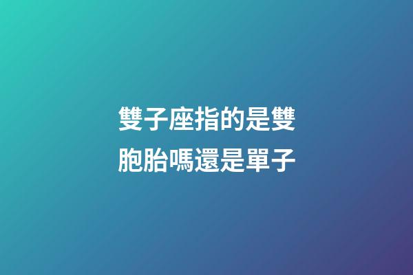 雙子座指的是雙胞胎嗎還是單子-第1張-星座運勢-玄機派