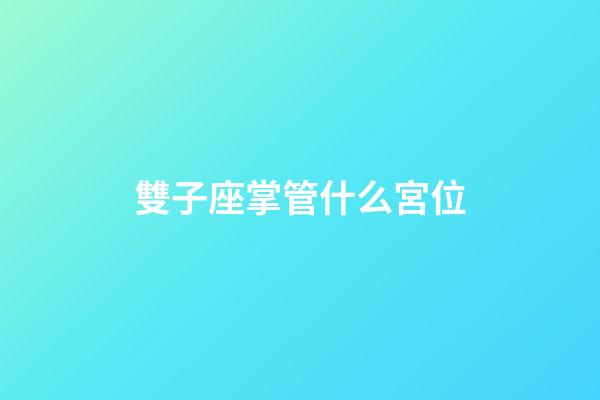 雙子座掌管什么宮位-第1張-星座運勢-玄機派