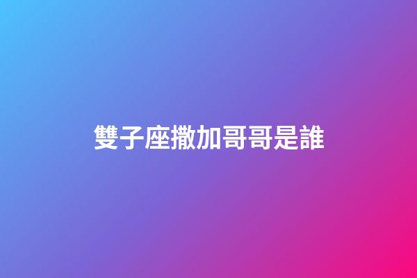 雙子座撒加哥哥是誰