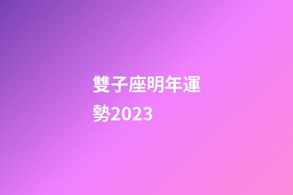 雙子座明年運勢2023-第1張-星座運勢-玄機派