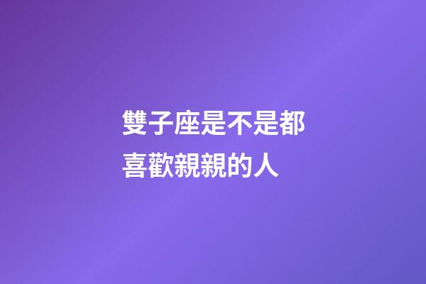 雙子座是不是都喜歡親親的人-第1張-星座運勢-玄機派
