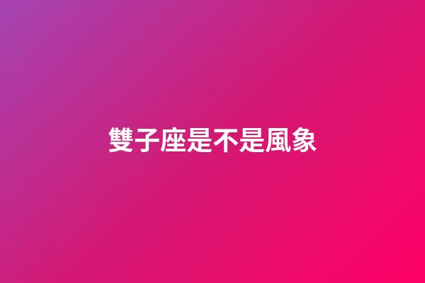 雙子座是不是風象-第1張-星座運勢-玄機派
