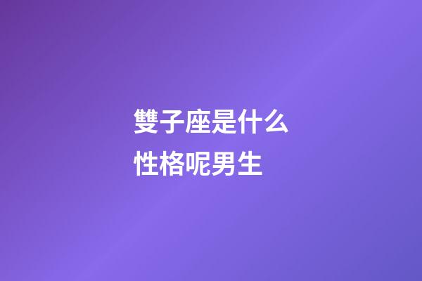 雙子座是什么性格呢男生-第1張-星座運勢-玄機派