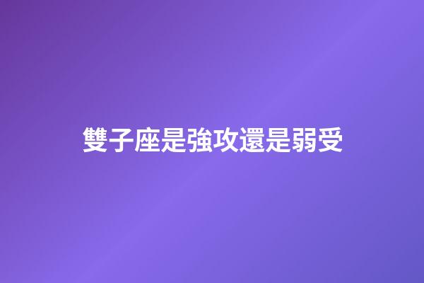 雙子座是強攻還是弱受-第1張-星座運勢-玄機派