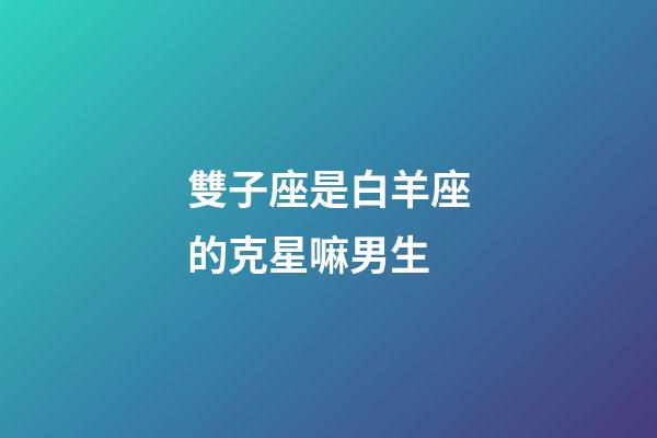 雙子座是白羊座的克星嘛男生-第1張-星座運勢-玄機派