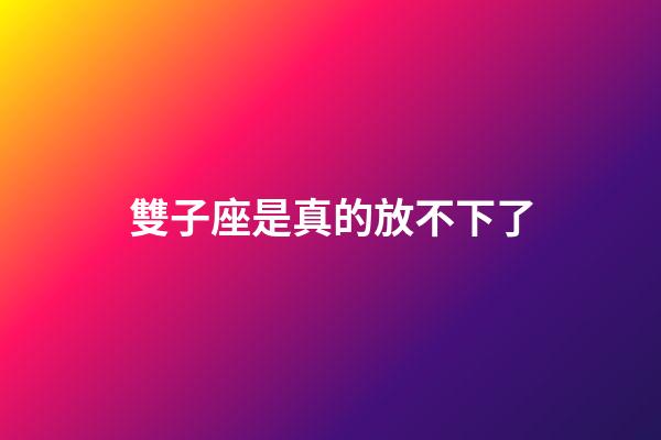 雙子座是真的放不下了-第1張-星座運勢-玄機派