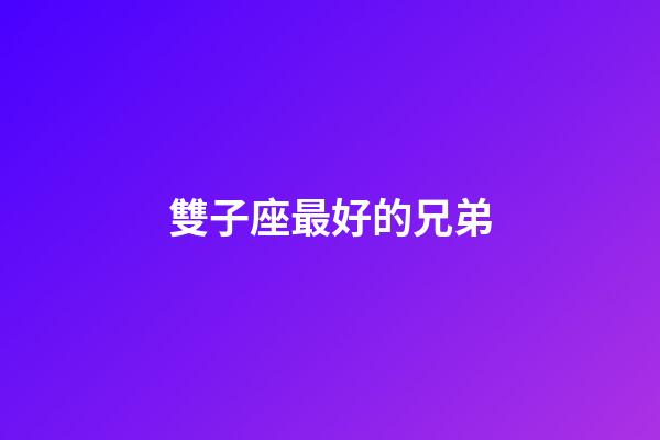 雙子座最好的兄弟-第1張-星座運勢-玄機派