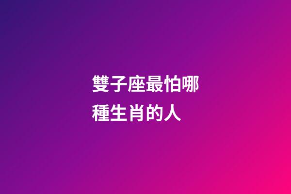 雙子座最怕哪種生肖的人-第1張-星座運勢-玄機派