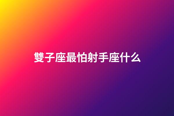 雙子座最怕射手座什么-第1張-星座運勢-玄機派