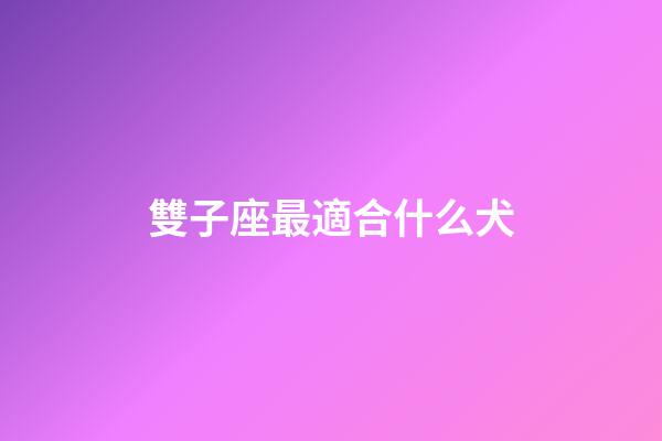 雙子座最適合什么犬-第1張-星座運勢-玄機派