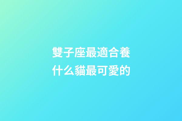 雙子座最適合養什么貓最可愛的-第1張-星座運勢-玄機派