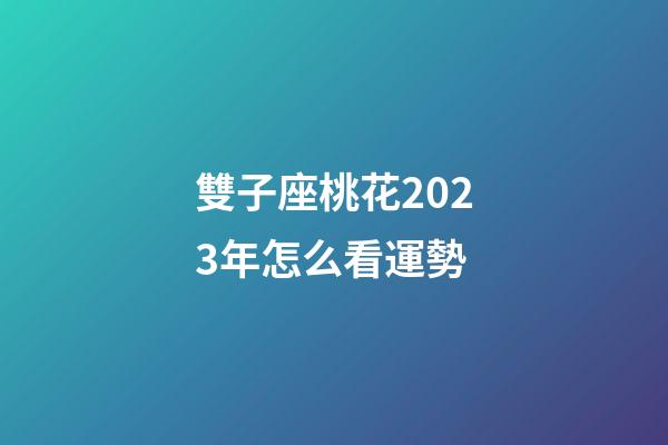 雙子座桃花2023年怎么看運勢-第1張-星座運勢-玄機派