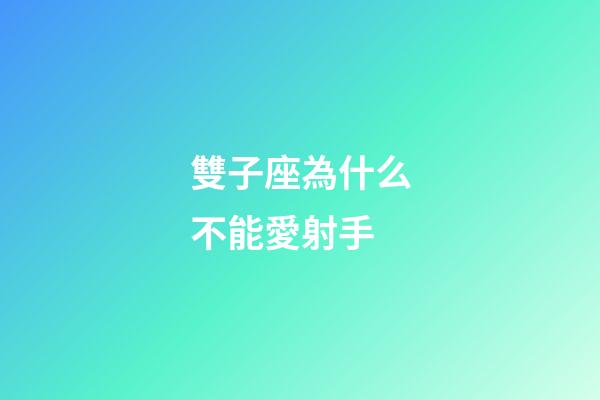 雙子座為什么不能愛射手-第1張-星座運勢-玄機派