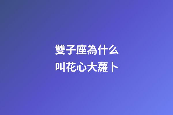 雙子座為什么叫花心大蘿卜-第1張-星座運勢-玄機派