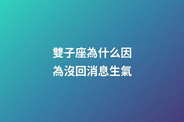 雙子座為什么因為沒回消息生氣-第1張-星座運勢-玄機派