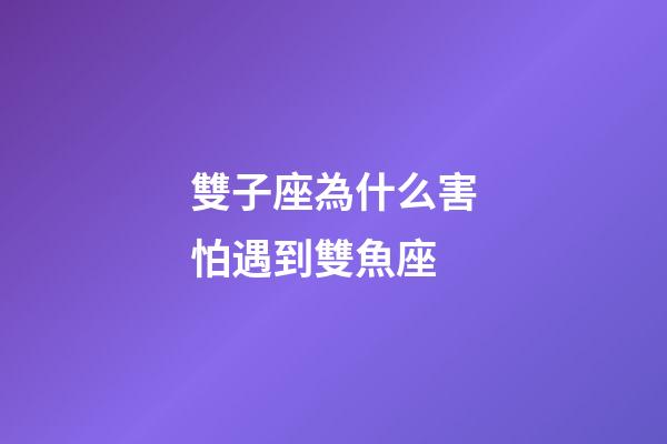 雙子座為什么害怕遇到雙魚座-第1張-星座運(yùn)勢(shì)-玄機(jī)派