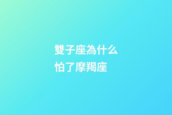 雙子座為什么怕了摩羯座-第1張-星座運勢-玄機派