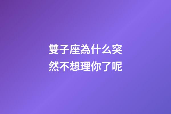 雙子座為什么突然不想理你了呢-第1張-星座運勢-玄機派