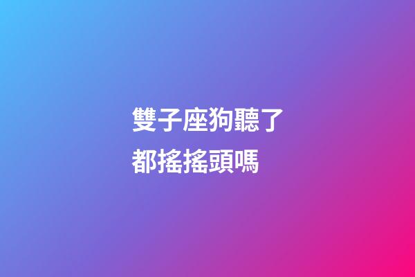 雙子座狗聽了都搖搖頭嗎-第1張-星座運勢-玄機派