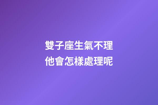 雙子座生氣不理他會怎樣處理呢-第1張-星座運勢-玄機派