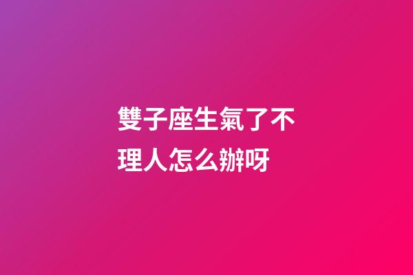 雙子座生氣了不理人怎么辦呀-第1張-星座運勢-玄機派