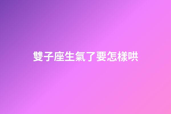 雙子座生氣了要怎樣哄-第1張-星座運勢-玄機派