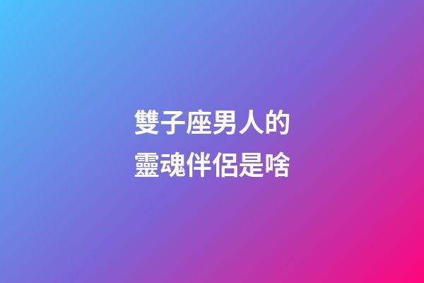 雙子座男人的靈魂伴侶是啥-第1張-星座運(yùn)勢(shì)-玄機(jī)派