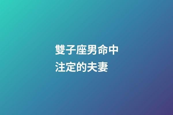 雙子座男命中注定的夫妻-第1張-星座運勢-玄機派