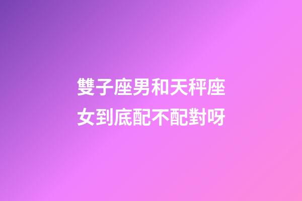 雙子座男和天秤座女到底配不配對呀-第1張-星座運勢-玄機派