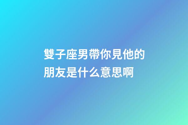 雙子座男帶你見他的朋友是什么意思啊