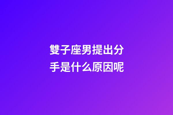 雙子座男提出分手是什么原因呢
