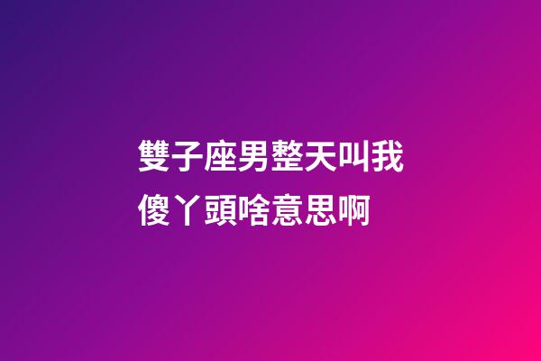 雙子座男整天叫我傻丫頭啥意思啊