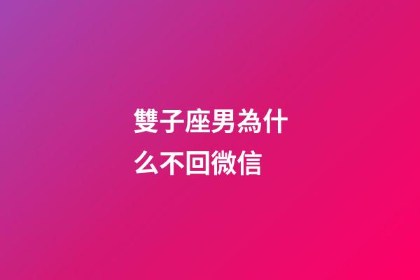 雙子座男為什么不回微信-第1張-星座運勢-玄機派