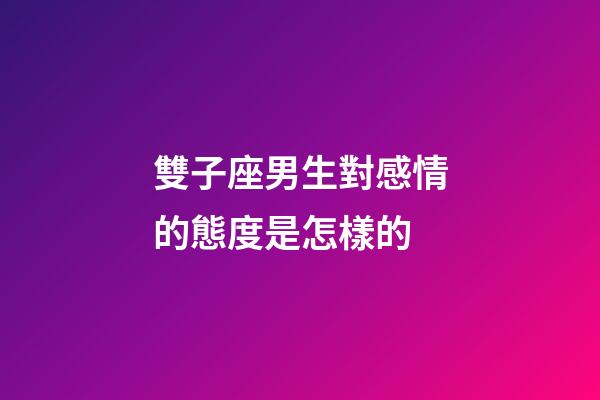 雙子座男生對感情的態度是怎樣的-第1張-星座運勢-玄機派