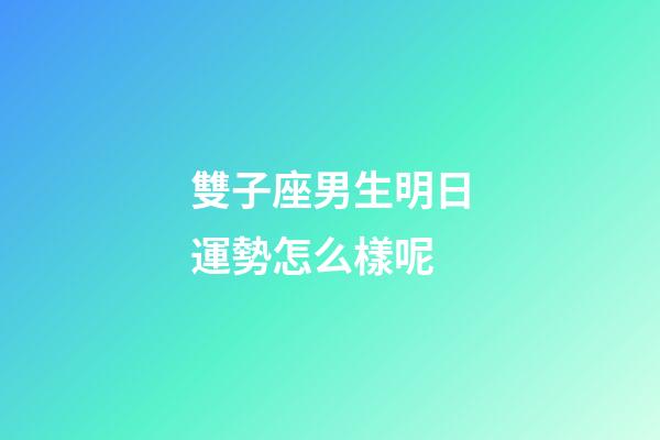 雙子座男生明日運勢怎么樣呢-第1張-星座運勢-玄機派