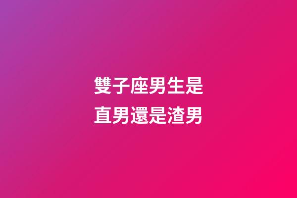 雙子座男生是直男還是渣男-第1張-星座運勢-玄機派