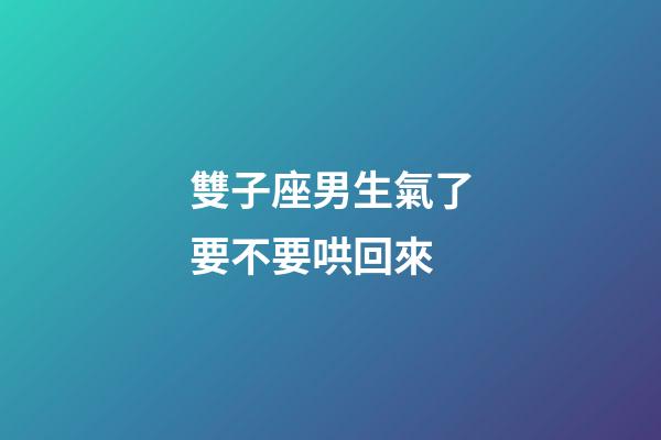 雙子座男生氣了要不要哄回來-第1張-星座運勢-玄機派