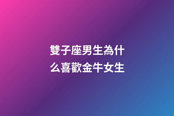 雙子座男生為什么喜歡金牛女生-第1張-星座運(yùn)勢-玄機(jī)派